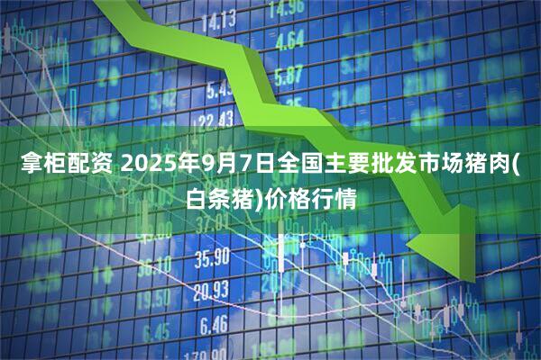 拿柜配资 2025年9月7日全国主要批发市场猪肉(白条猪)价格行情