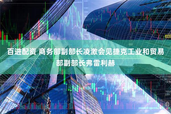 百进配资 商务部副部长凌激会见捷克工业和贸易部副部长弗雷利赫