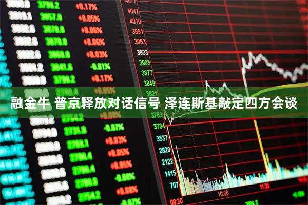 融金牛 普京释放对话信号 泽连斯基敲定四方会谈