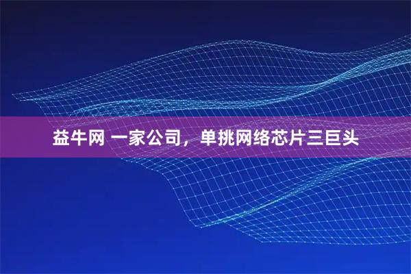 益牛网 一家公司，单挑网络芯片三巨头