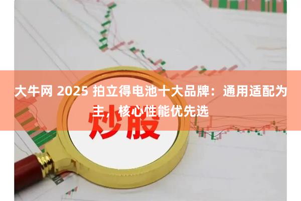 大牛网 2025 拍立得电池十大品牌：通用适配为主，核心性能优先选