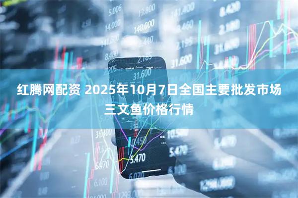红腾网配资 2025年10月7日全国主要批发市场三文鱼价格行情