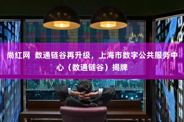 尚红网  数通链谷再升级，上海市数字公共服务中心（数通链谷）揭牌